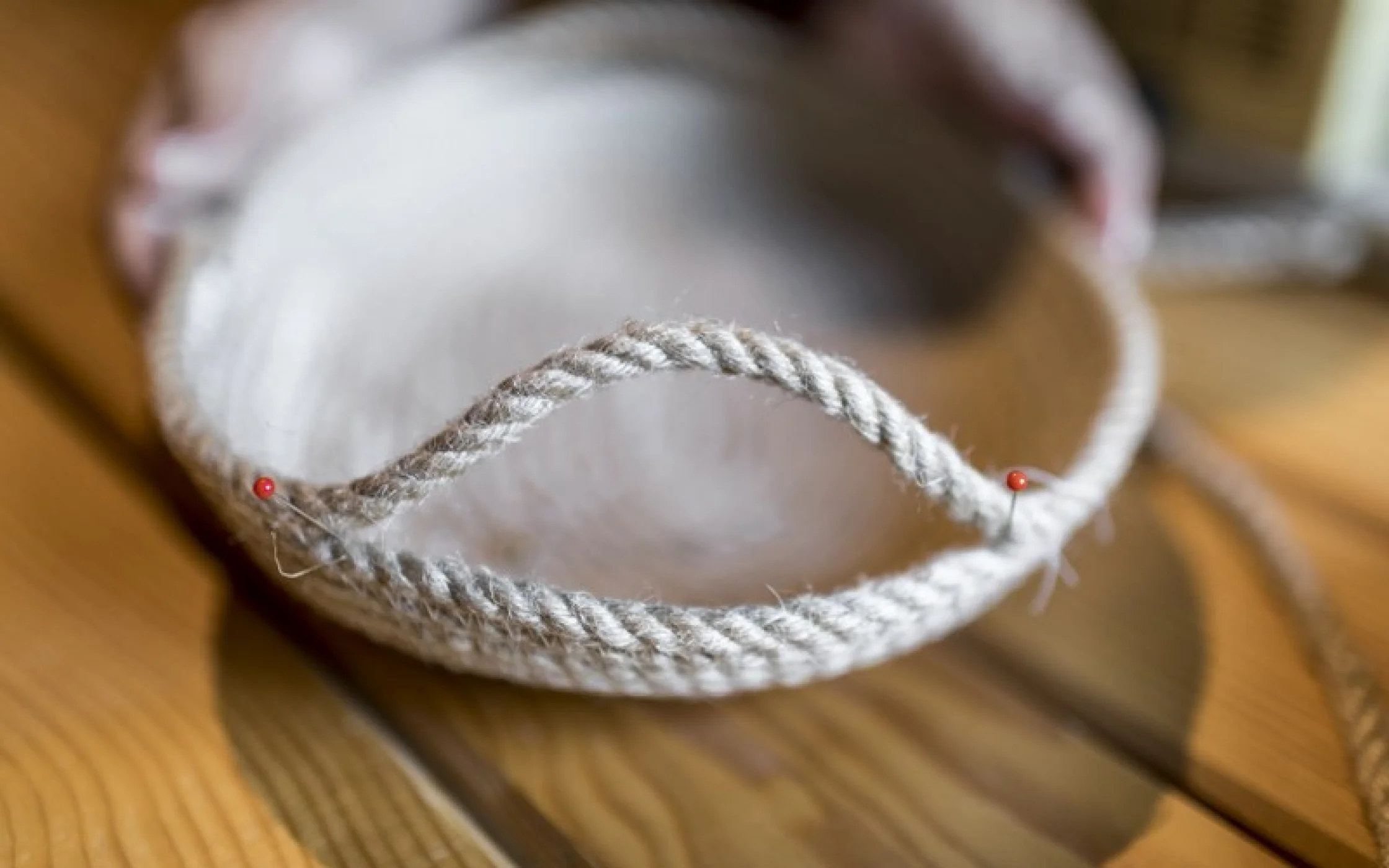 Bild4SBO foto_arminhuber_HQ-1_800x533.jpg